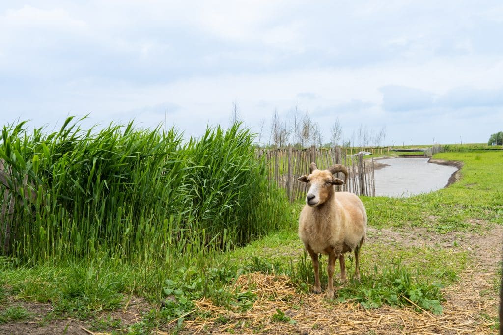 Ontdek 't Suyt 2 | 't Suyt