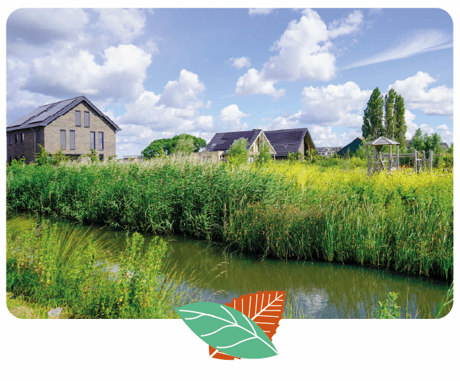 Foto van het plukbos met op de achtergrond nieuwbouw woningen